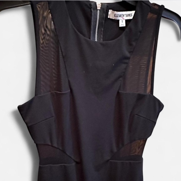 Elizabeth and James Mesh Panel Black sleeveless Dress size Small retails $395 - Picture 3 of 8